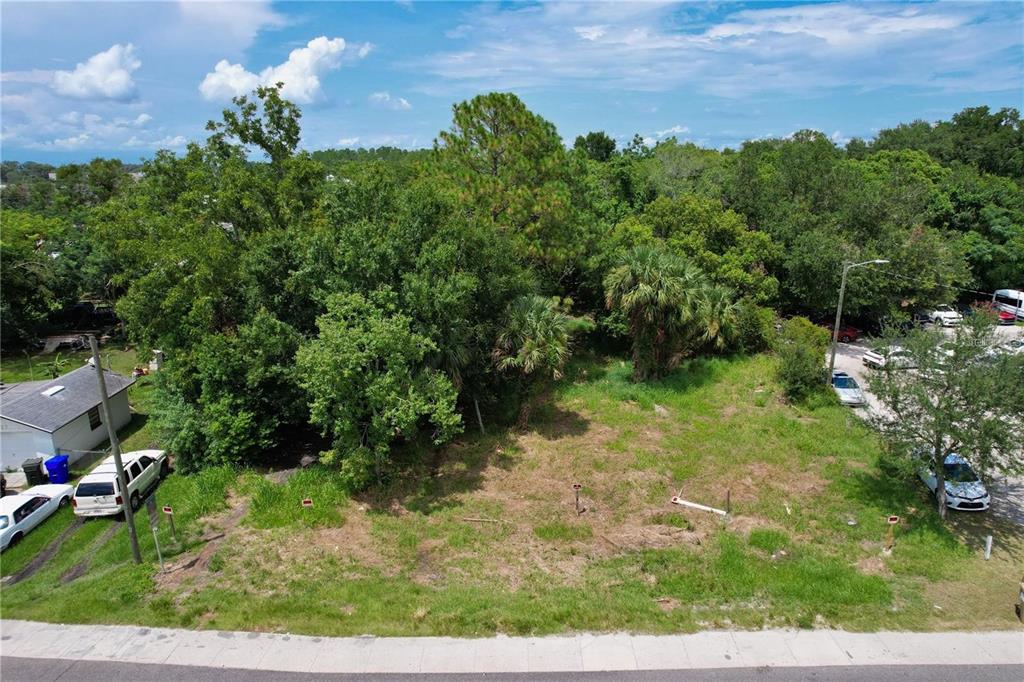 319 W SILVER STAR ROAD, OCOEE, FL — photo 4 of 24