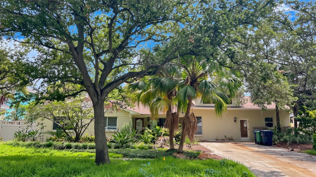 A single-story house with a light-colored exterior, a palm tree, and a large shade tree — 410 ERIE AVENUE, TAMPA, FL