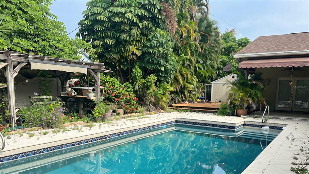 A backyard features a swimming pool, a wooden pergola, lush tropical landscaping, and a house — 410 ERIE AVENUE, TAMPA, FL