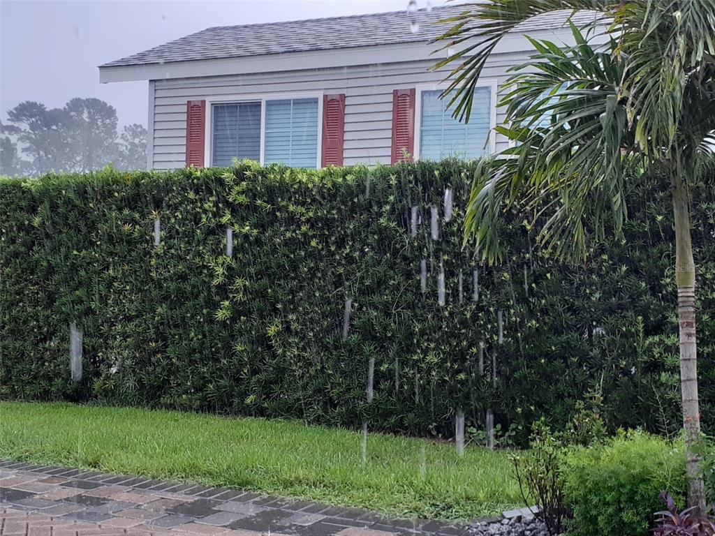A tall green hedge stands in front of a house during a rain shower — 2328 LIMEWOOD AVENUE UNIT 050, CLERMONT, FL