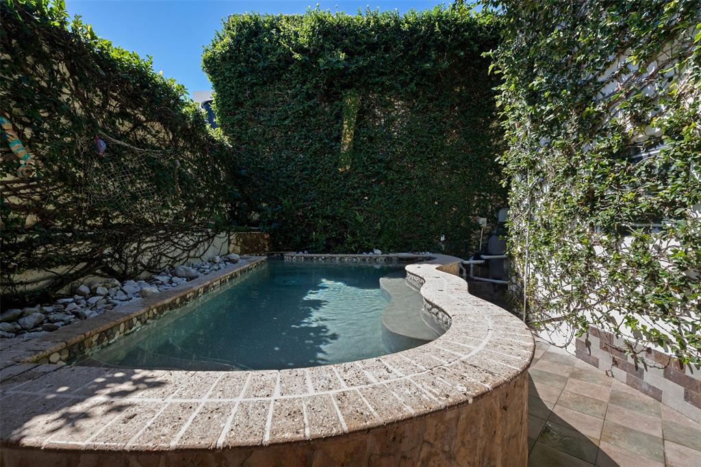 A small, kidney-shaped swimming pool is surrounded by stone coping and walls covered in ivy — Ocean Park 2052 CACIQUE, SAN JUAN, PR