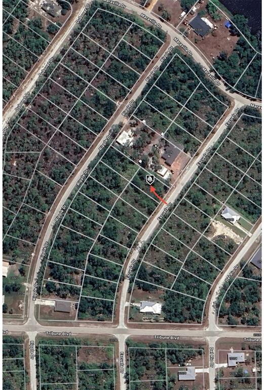 This is an aerial map showing a residential lot highlighted by an arrow — 12241 ESCUELA DRIVE, PUNTA GORDA, FL