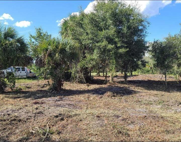 A cleared, grassy lot features several mature trees and a white truck in the background — 15996 NW 314TH STREET, OKEECHOBEE, FL