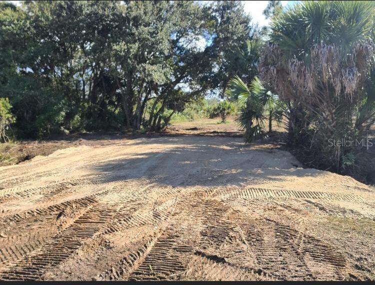 A cleared, sandy lot with tire tracks leads toward a line of trees and palms — 15996 NW 314TH STREET, OKEECHOBEE, FL