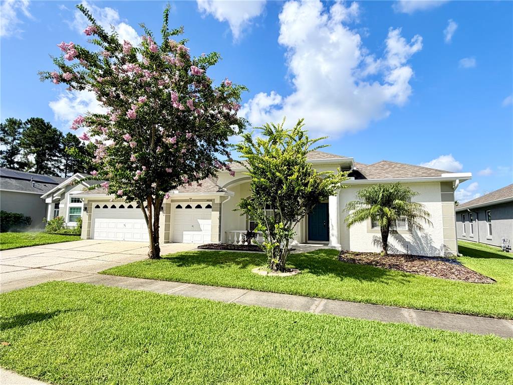 A single-story house with a white stucco exterior, a three-car garage, and a landscaped yard — 14606 CORAL BERRY DRIVE, TAMPA, FL
