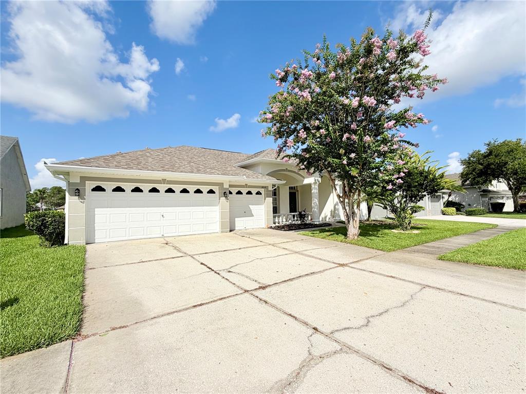 A single-story house with a white garage, a concrete driveway, and a blooming crepe myrtle — 14606 CORAL BERRY DRIVE, TAMPA, FL