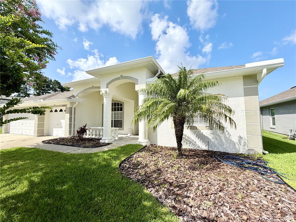 A single-story house with a white stucco exterior, a palm tree, and a covered entryway — 14606 CORAL BERRY DRIVE, TAMPA, FL