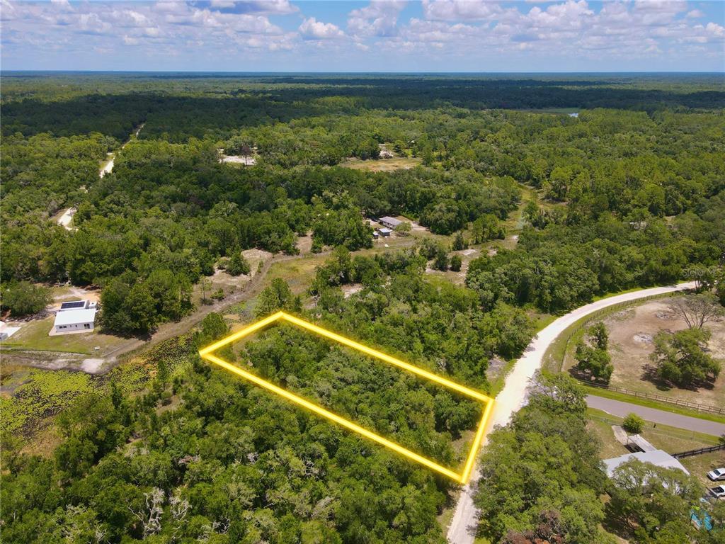 An aerial view shows a rectangular, tree-covered plot of land outlined in yellow — 34237 SHAFFER DRIVE, DADE CITY, FL