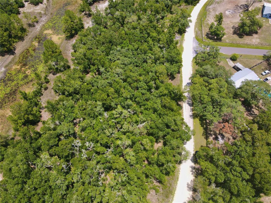 An aerial view shows a wooded lot bordering a dirt road and a small pond — 34237 SHAFFER DRIVE, DADE CITY, FL