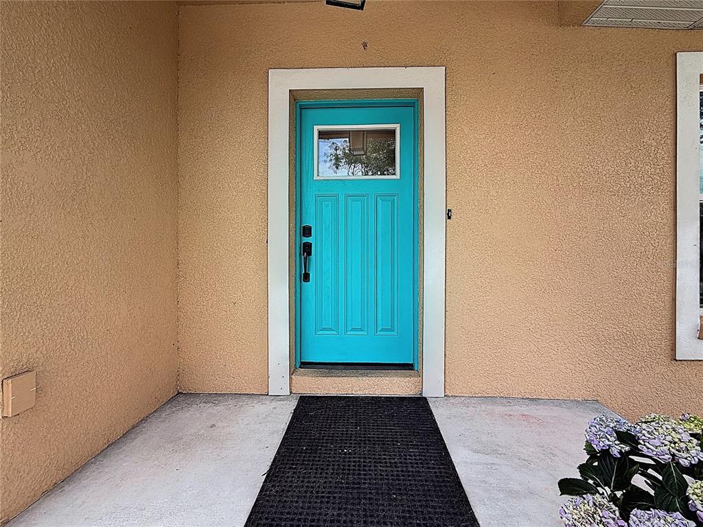 A bright blue front door with a window is centered on a tan stucco wall — 1590 BURNS DRIVE, CLEARWATER, FL