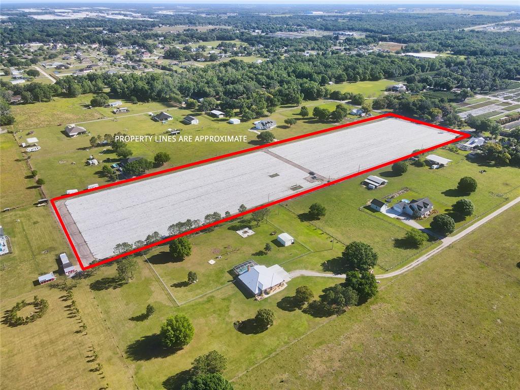 An aerial view shows a large, rectangular plot of land outlined in red — 3811 OLD MULBERRY ROAD, PLANT CITY, FL