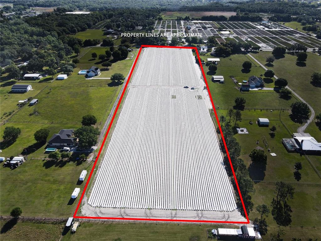 An aerial view shows a large rectangular agricultural field covered in white plastic sheeting — 3811 OLD MULBERRY ROAD, PLANT CITY, FL
