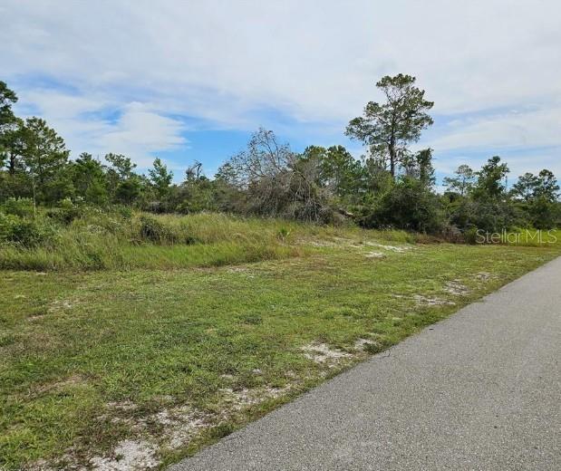 A vacant, grassy lot with scattered trees and shrubs sits beside a paved road — 1312 COLUMBUS STREET, LAKE PLACID, FL