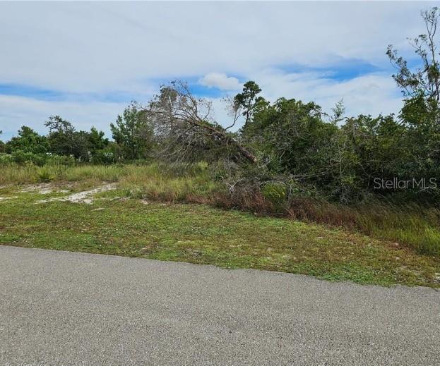 A vacant, grassy lot with scattered trees and brush sits adjacent to a paved road — 1312 COLUMBUS STREET, LAKE PLACID, FL