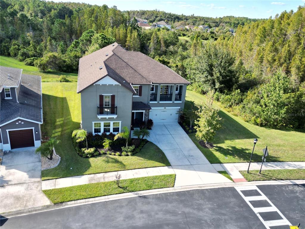 A two-story foyer features dark wood flooring, a black staircase railing, and a crystal chandelier — 1879 WHITEWILLOW DRIVE, WESLEY CHAPEL, FL