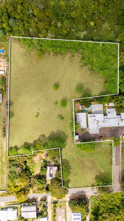 An aerial view shows a large, irregularly shaped plot of land outlined in white — D8 PUERTO REAL REMANENTE, VIEQUES, PR