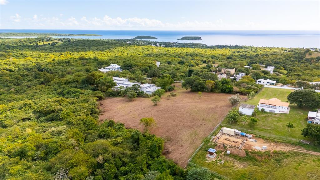 An aerial view shows a cleared plot of land surrounded by trees and nearby houses — D8 PUERTO REAL REMANENTE, VIEQUES, PR