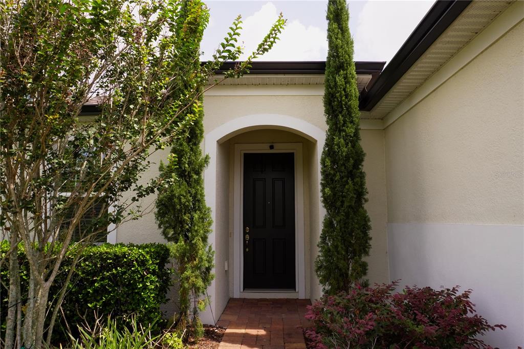 A black front door is recessed within a stucco entryway flanked by two tall, thin trees — 4909 OLIVIA COURT, ST CLOUD, FL