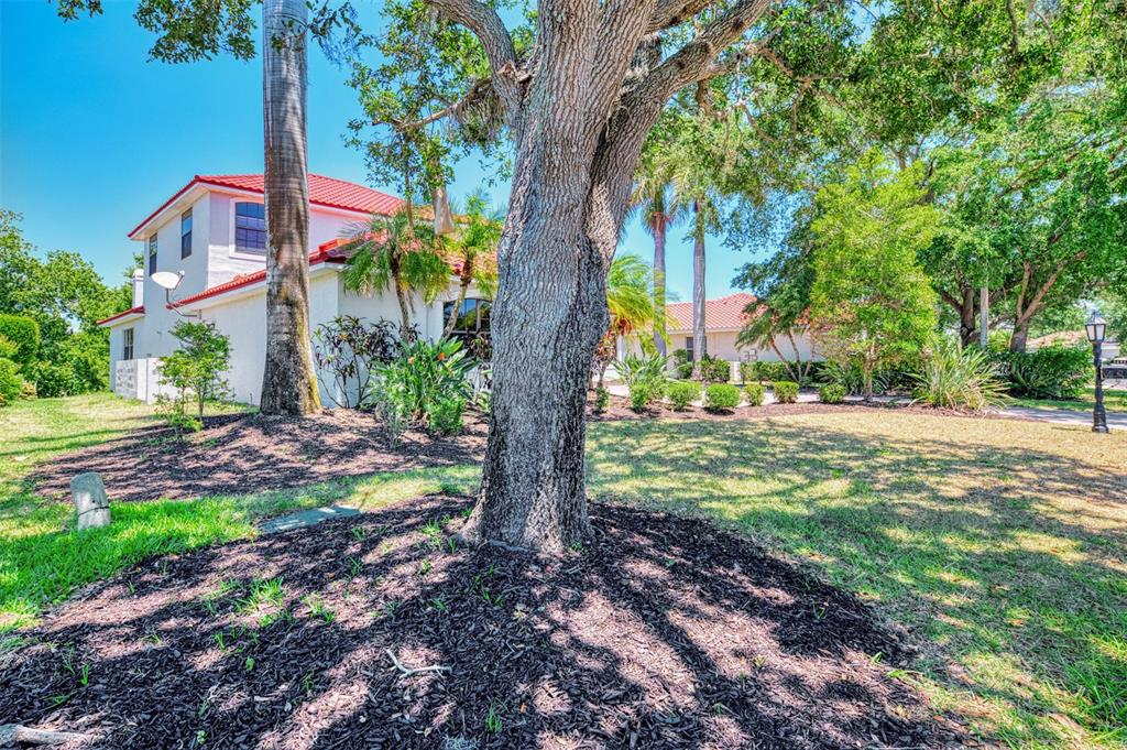 A large tree stands in the foreground of a two-story house with a red roof — 5684 EASTWIND DRIVE, SARASOTA, FL