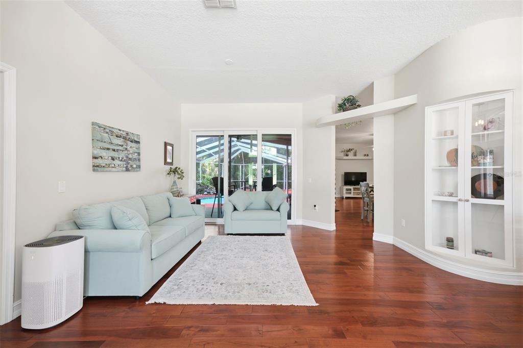 A living room features light blue furniture, a white area rug, and hardwood flooring — 4710 BASSWOOD STREET, LAND O LAKES, FL