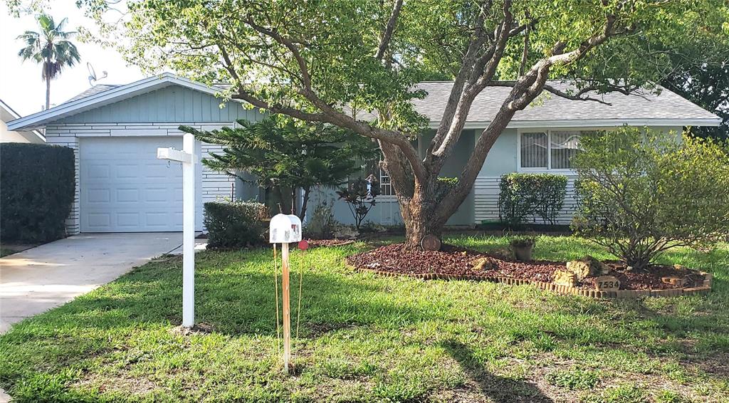 A single-story house with a white garage, a large tree, and a mailbox in front — 7534 ROSEWOOD DRIVE, PORT RICHEY, FL