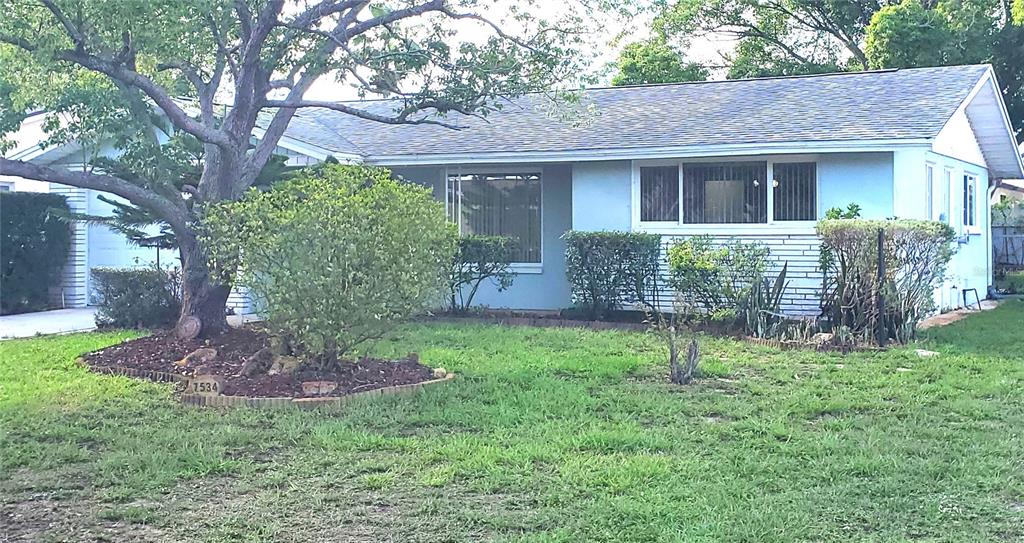 A single-story house with a light blue exterior, a large tree, and a front lawn — 7534 ROSEWOOD DRIVE, PORT RICHEY, FL