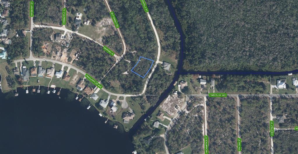 This aerial map shows a vacant, rectangular residential lot outlined in blue within a neighborhood — 300 RAINBOW DRIVE, LAKE PLACID, FL