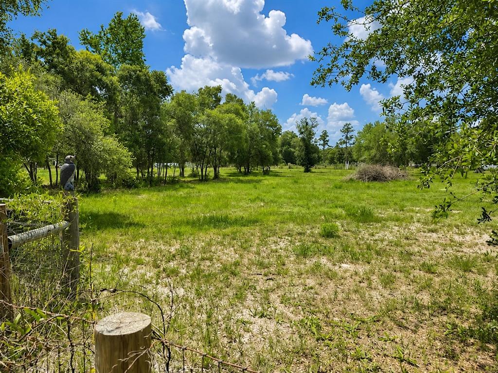 A grassy, partially cleared lot features scattered trees under a bright blue sky — TBD, DUNNELLON, FL