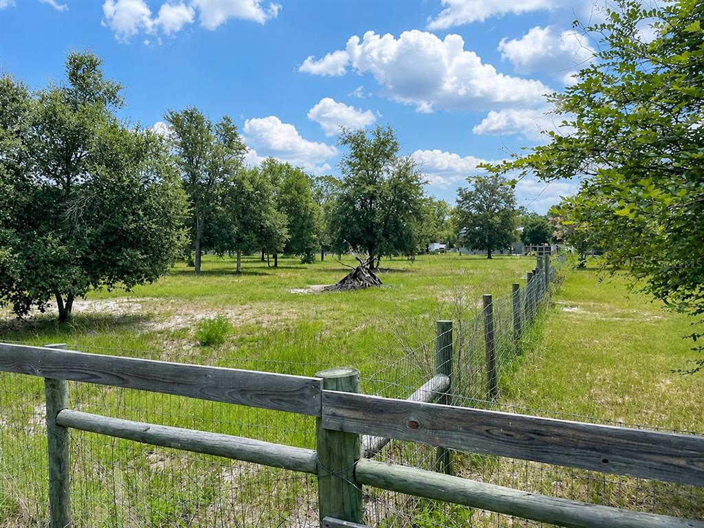 A wooden fence borders a grassy field with scattered trees under a blue sky — TBD, DUNNELLON, FL