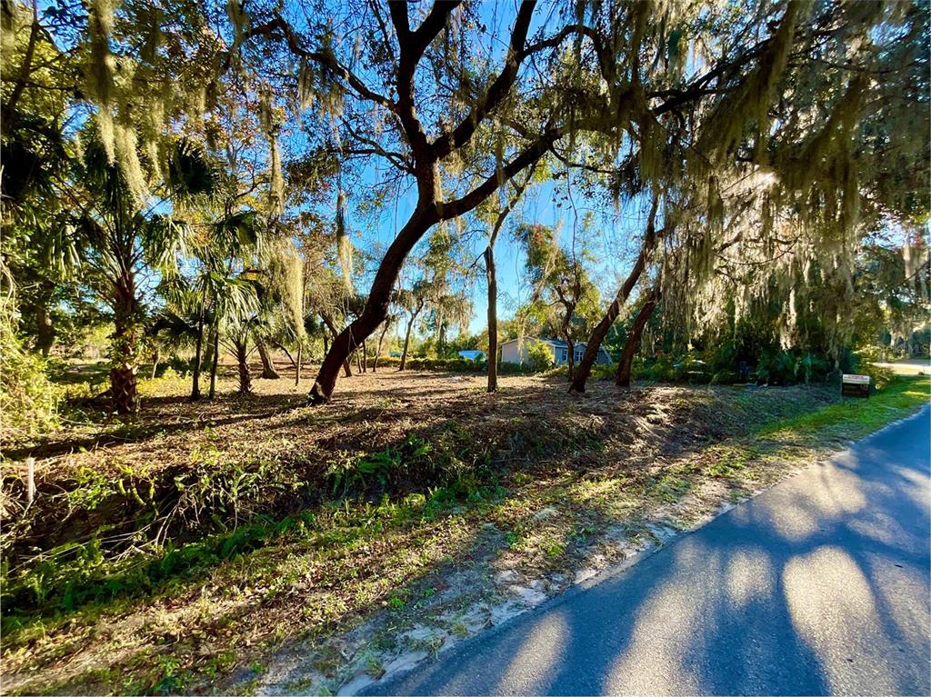 A wooded, undeveloped lot with Spanish moss-covered trees sits beside a paved road — Lot 66 & Lot 67 Ashley STREET, HAWTHORNE, FL