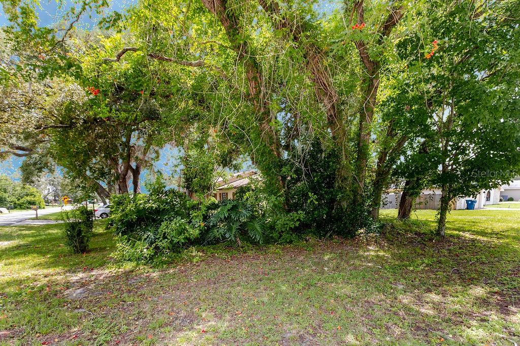 1042 TRYON CIRCLE, SPRING HILL, FL — photo 5 of 28