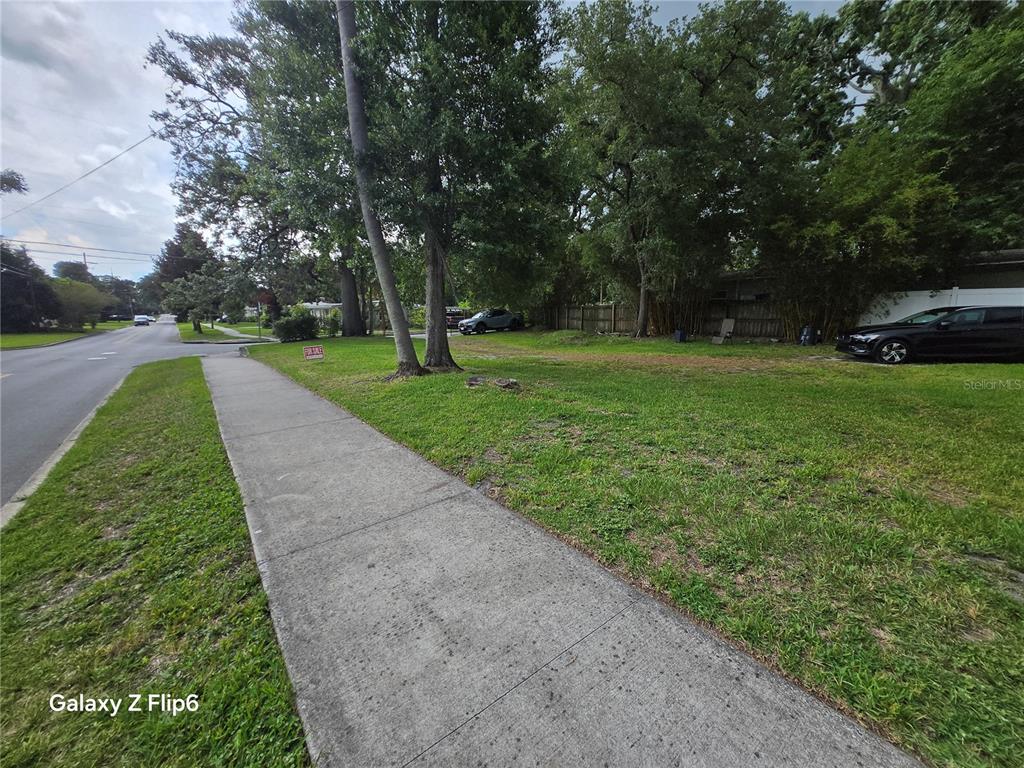 A grassy vacant lot sits next to a sidewalk and a road with trees — HELEN AVENUE, ORLANDO, FL