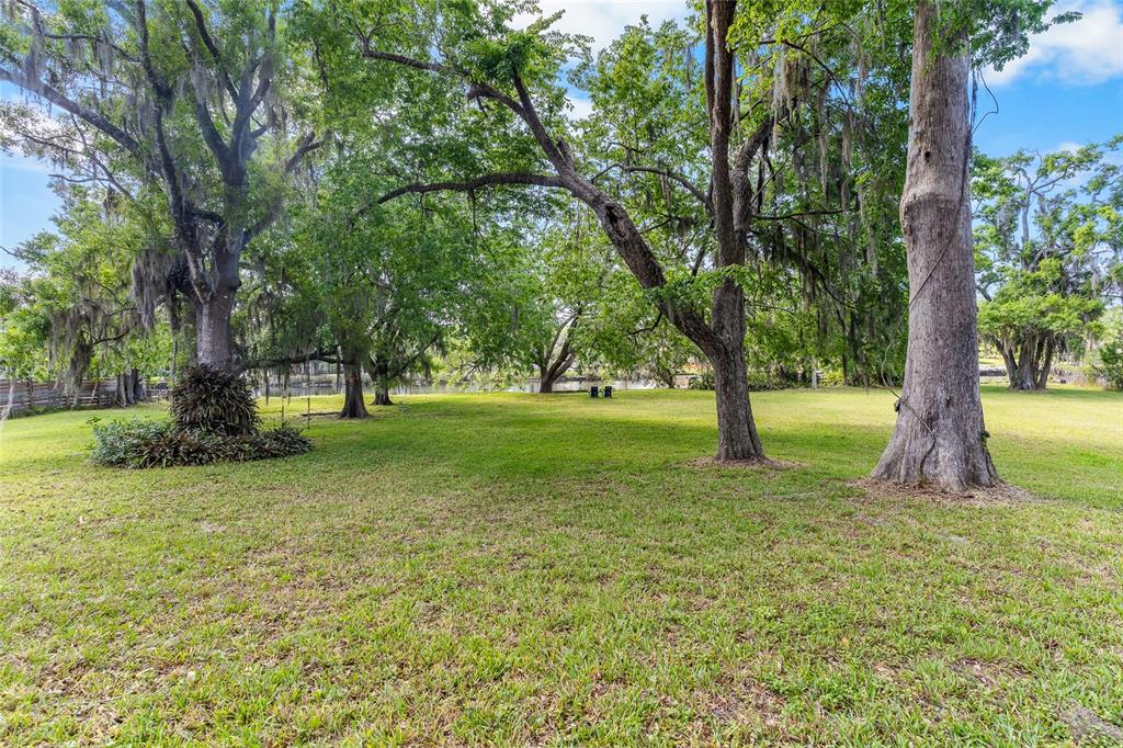 A grassy backyard features several large, mature trees with Spanish moss near a body of water — 6605 N BOULEVARD, TAMPA, FL