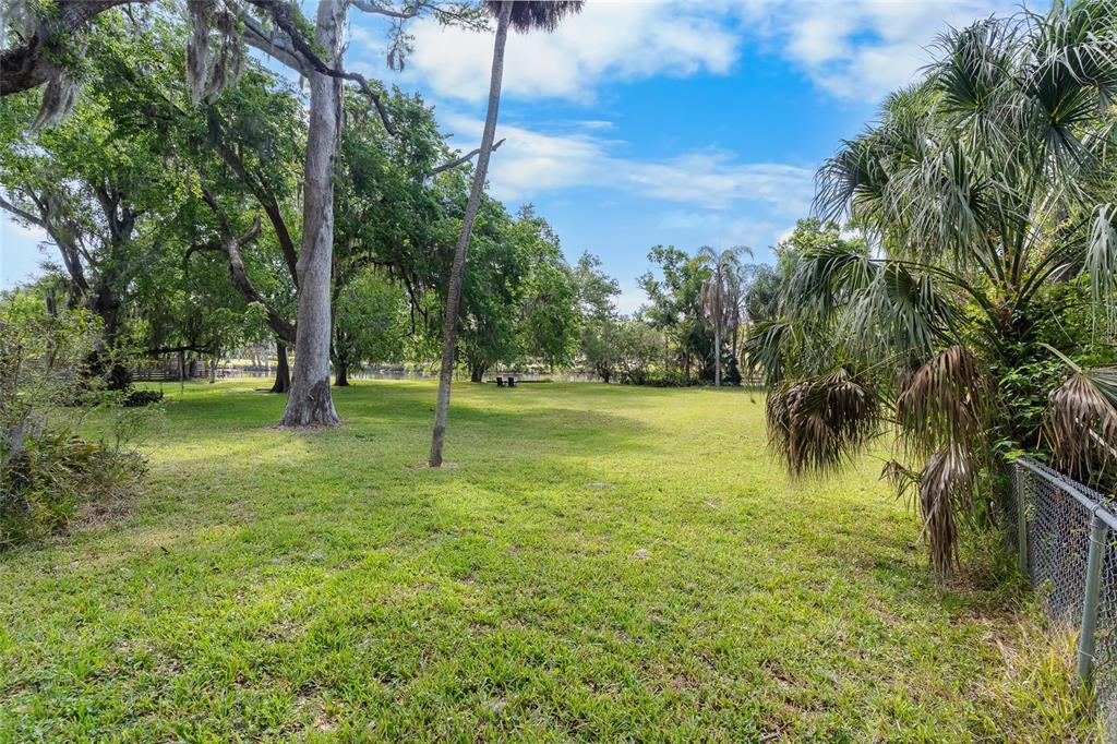 A grassy backyard features mature trees, palm trees, and a chain-link fence — 6605 N BOULEVARD, TAMPA, FL