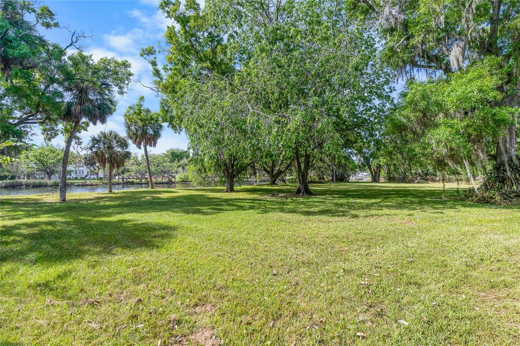 A grassy yard with mature trees and palms overlooks a narrow body of water — 6605 N BOULEVARD, TAMPA, FL