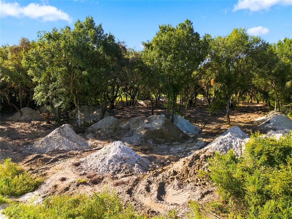 A wooded lot features several piles of dirt and cleared ground under a blue sky — 20212 NW 288TH STREET, OKEECHOBEE, FL