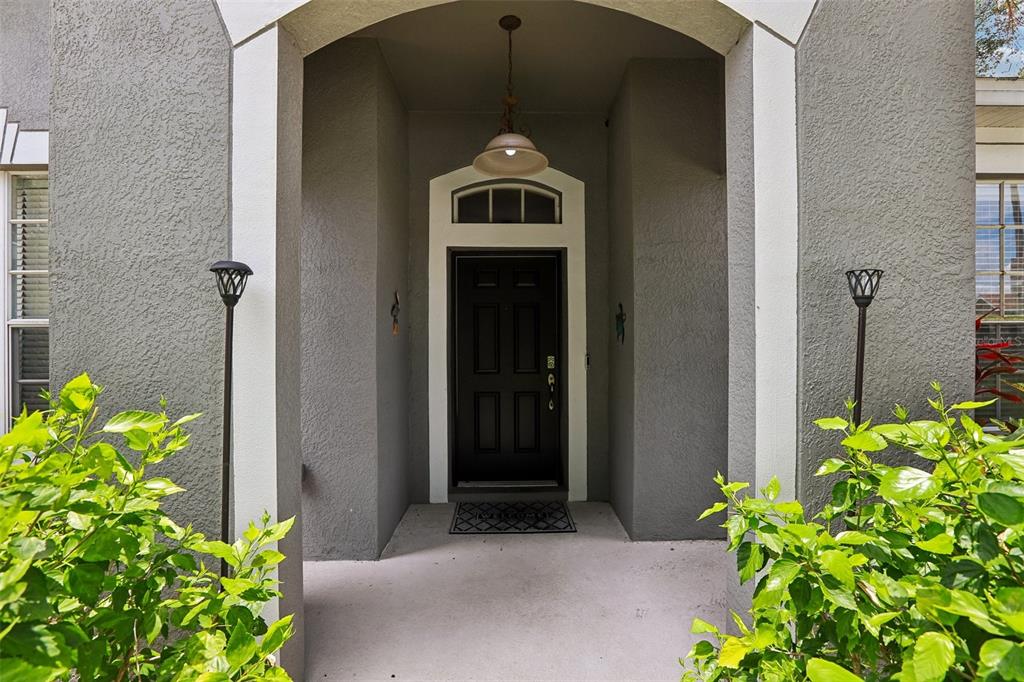 A covered entryway features a black front door with a transom window and gray stucco walls — 12517 SAFARI LANE, RIVERVIEW, FL