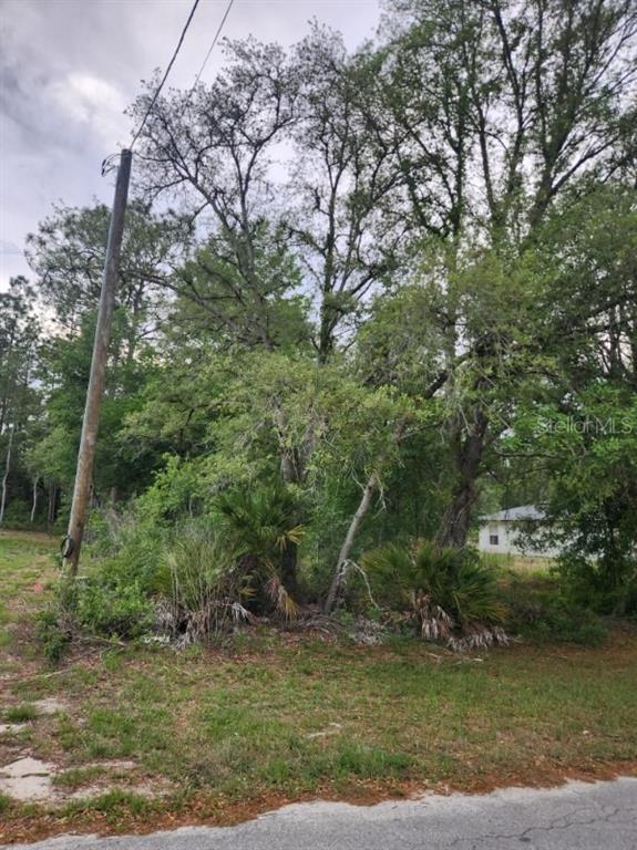 A utility pole stands beside a wooded lot with dense vegetation and tall trees — 00 MARION OAKS PASS, OCALA, FL