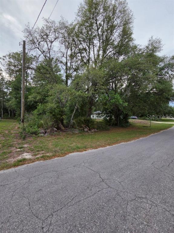 A paved road runs alongside a grassy, tree-filled vacant lot under a cloudy sky — 00 MARION OAKS PASS, OCALA, FL