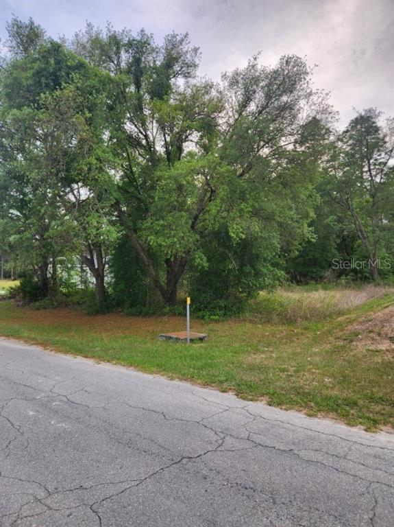 A paved road runs alongside a grassy lot with several large trees and a utility marker — 00 MARION OAKS PASS, OCALA, FL