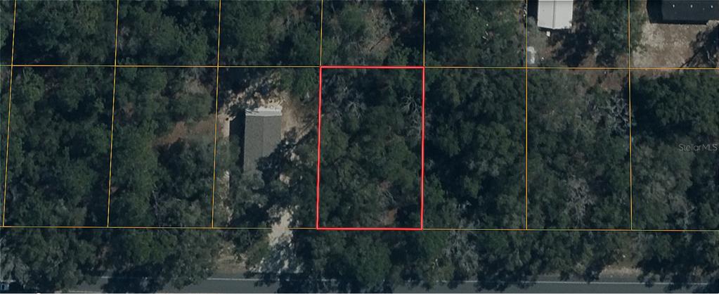 An aerial view shows a rectangular plot of land outlined in red among wooded lots — TBD NE STATE ROAD 121, WILLISTON, FL