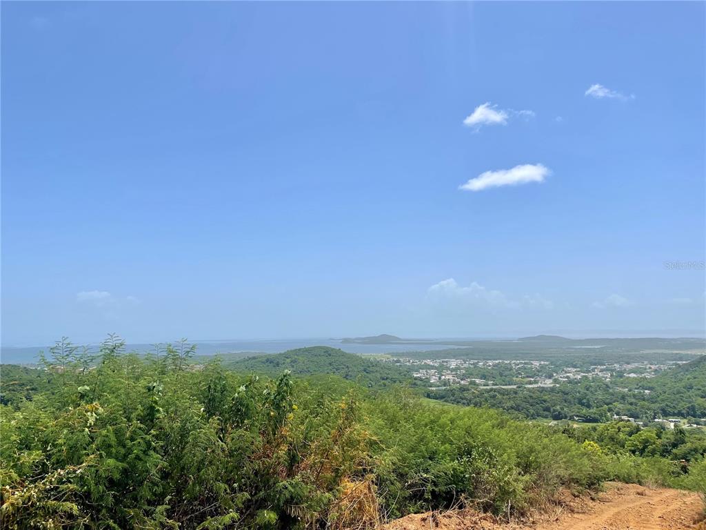 A high-angle view of a lush, hilly landscape overlooking a coastal town and ocean — 981, CEIBA, PR