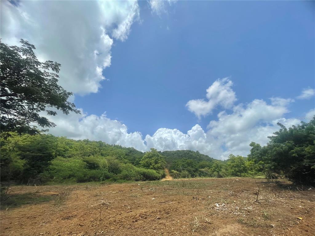 A wide, cleared dirt lot sits before a lush, green hillside under a blue sky — 981, CEIBA, PR