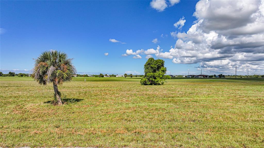 A large, flat, grassy vacant lot features a single palm tree and a large bush — 37 WILLOW ROAD, PLACIDA, FL