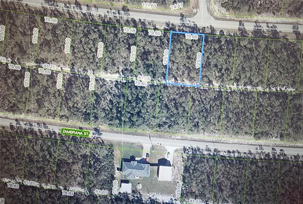 This aerial map shows a vacant, rectangular residential lot outlined in blue among wooded parcels — 7711 ALTARA STREET, SEBRING, FL