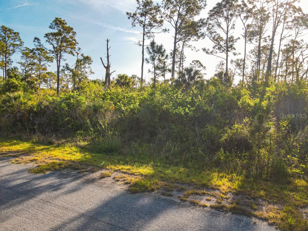 A view of a vacant, wooded lot bordered by an asphalt road — BLUELEAF DRIVE, NORTH PORT, FL