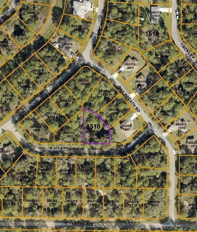 This is an aerial map showing a vacant lot highlighted in purple within a residential neighborhood — HAGEDOM AVENUE, NORTH PORT, FL