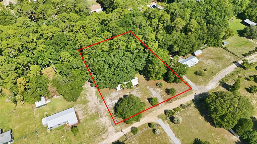 An aerial view shows a rectangular property lot outlined in red containing trees and buildings — 37807 DEERWOODS DRIVE, EUSTIS, FL