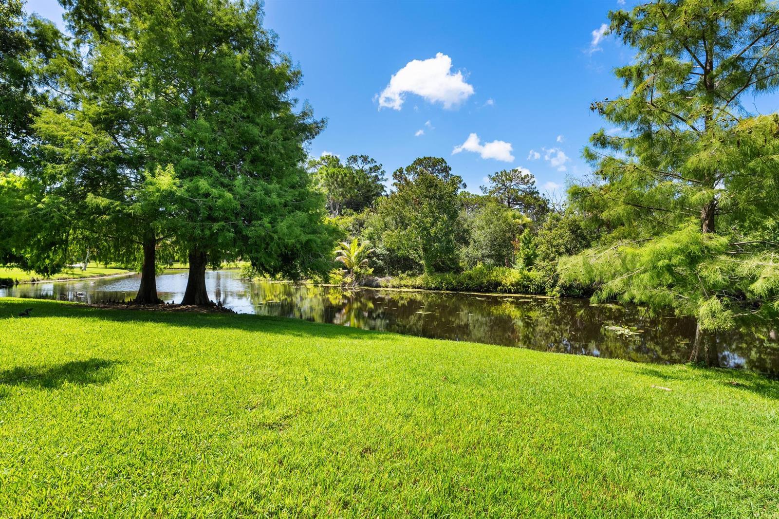 A grassy lawn slopes down toward a pond surrounded by mature trees under a blue sky — 19646 Red Maple Lane, Jupiter FL 33458, JUPITER, FL