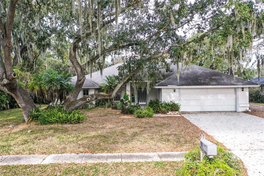95 WOODSIDE DRIVE